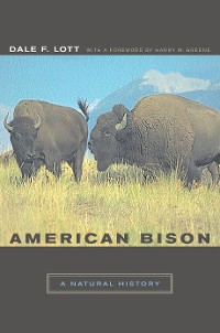 Cover American Bison