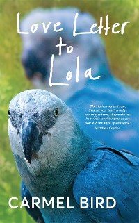 Cover Love Letter to Lola