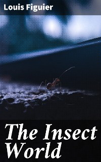Cover The Insect World