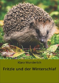 Cover Fritzle und der Winterschlaf