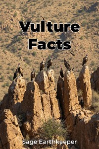 Cover Vulture Facts