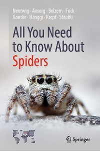 Cover All You Need to Know About Spiders