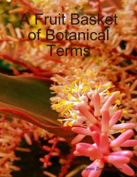 Cover Fruit Basket of Botanical Terms