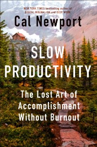 Cover Slow Productivity