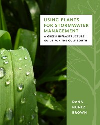 Cover Using Plants for Stormwater Management