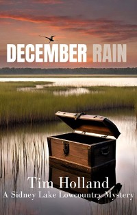 Cover December Rain