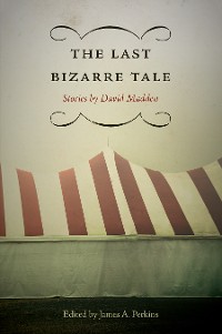 Cover The Last Bizarre Tale