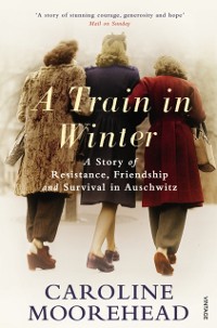 Cover Train in Winter