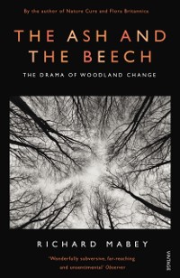 Cover Ash and The Beech