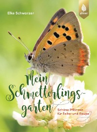 Cover Mein Schmetterlingsgarten