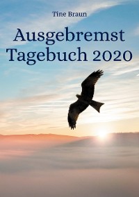 Cover Ausgebremst Tagebuch 2020
