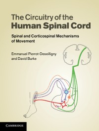 Cover Circuitry of the Human Spinal Cord