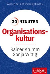 Cover 30 Minuten Organisationskultur