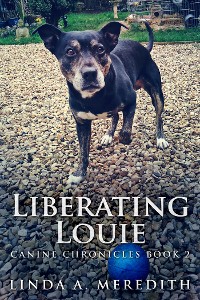 Cover Liberating Louie