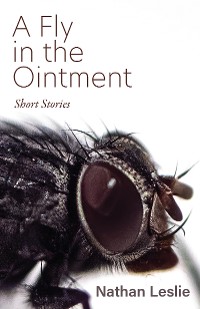 Cover A Fly in the Ointment