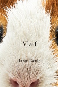 Cover Vlarf