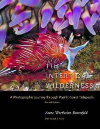 Cover Intertidal Wilderness