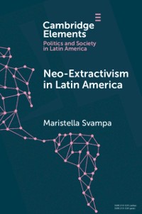 Cover Neo-extractivism in Latin America