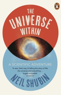 Cover Universe Within