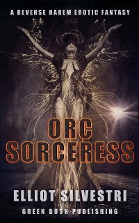 Cover Orc Sorceress