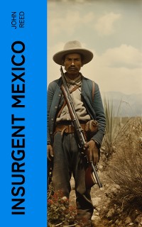 Cover Insurgent Mexico