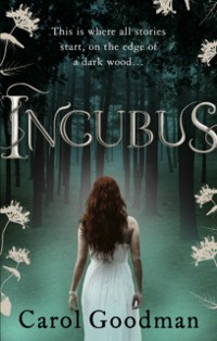 Cover Incubus