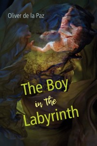 Cover Boy in the Labyrinth