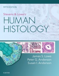 Cover Stevens & Lowe's Human Histology - E-Book