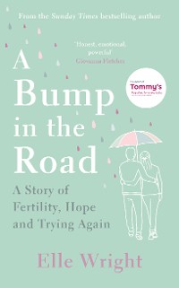 Cover A Bump in the Road