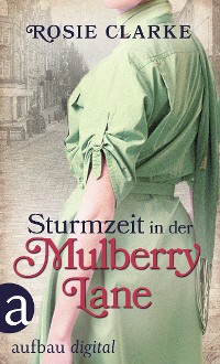 Cover Sturmzeit in der Mulberry Lane