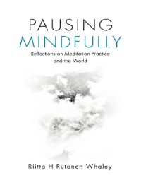 Cover Pausing Mindfully: Reflections On Meditation Practice and the World