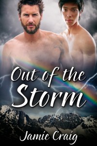 Cover Out of the Storm