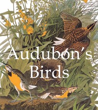 Cover Audubon's Birds