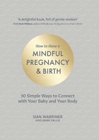 Cover How to Have a Mindful Pregnancy and Birth