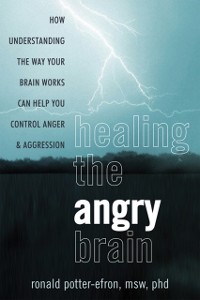 Cover Healing the Angry Brain