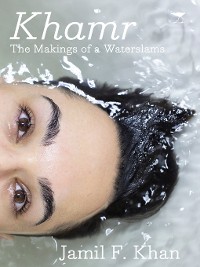 Cover Makings of a Waterslams