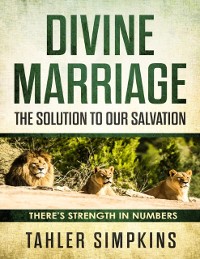Cover Divine Marriage: The Solution  to Our Salvation - There''s Strenght In Numbers