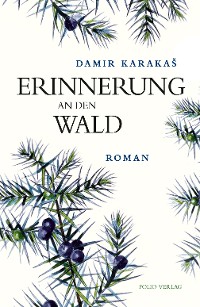 Cover Erinnerung an den Wald