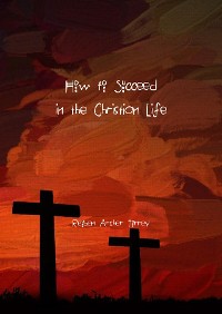 Cover How to Succeed in the Christian Life