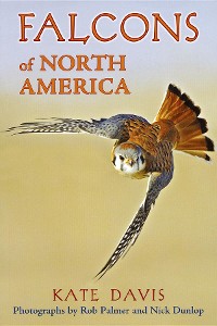 Cover Falcons of North America