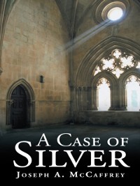 Cover Case of Silver