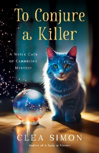 Cover To Conjure a Killer