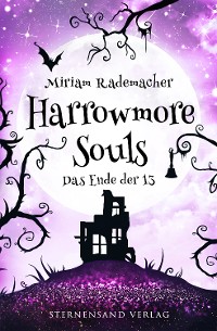 Cover Harrowmore Souls (Band 5): Das Ende der 13
