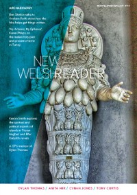 Cover New Welsh Reader (New Welsh Review) 114, Summer 2017 : New Welsh Review 114, Summer 2017