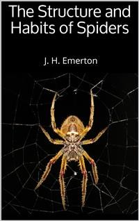 Cover The Structure and Habits of Spiders