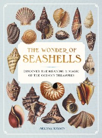 Cover The Wonder of Seashells