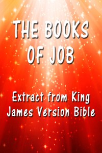 Cover The Book of Job