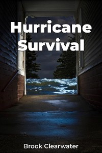 Cover Hurricane Survival