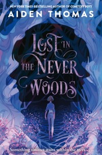 Cover Lost in the Never Woods