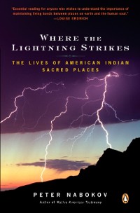 Cover Where the Lightning Strikes